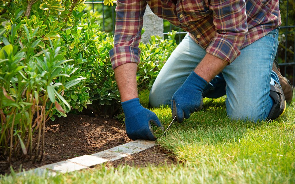 man installing turf lawn